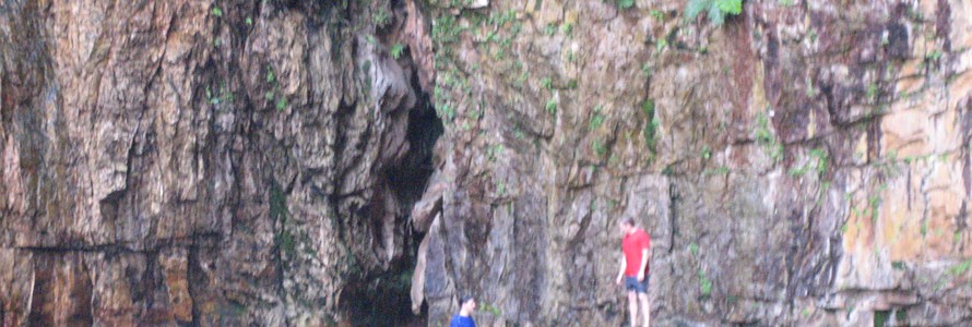 Swimming in a billabong