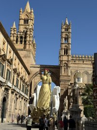 Palmero Cathedram200