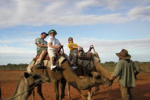 Peg&Manny024_24300x200-1-