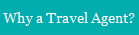 Why a Travel Agent?